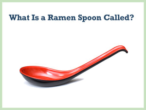 The Japanese Ramen Spoon: Facts You Probably Didn't Know