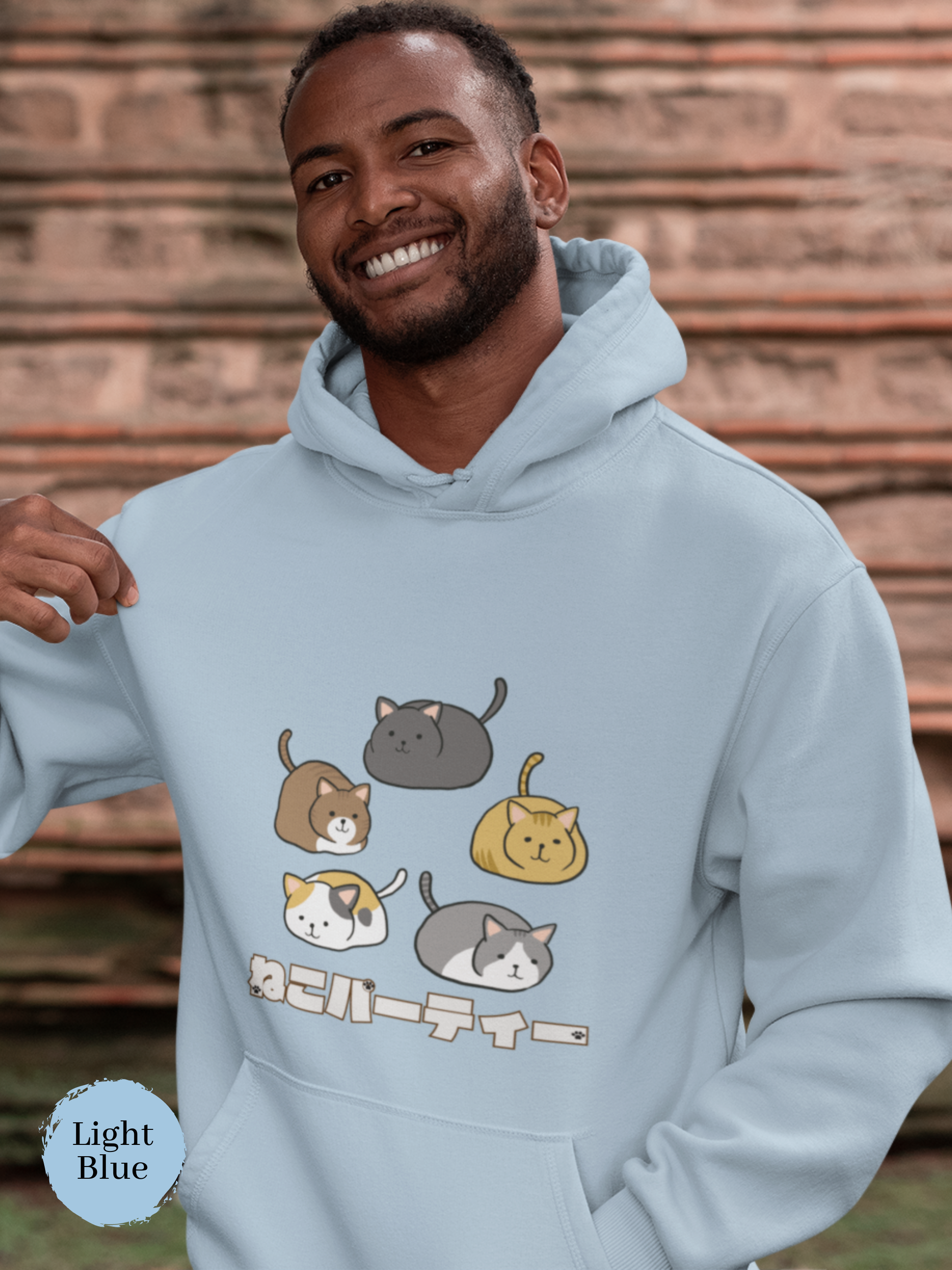 Pusheen top cat hoodie