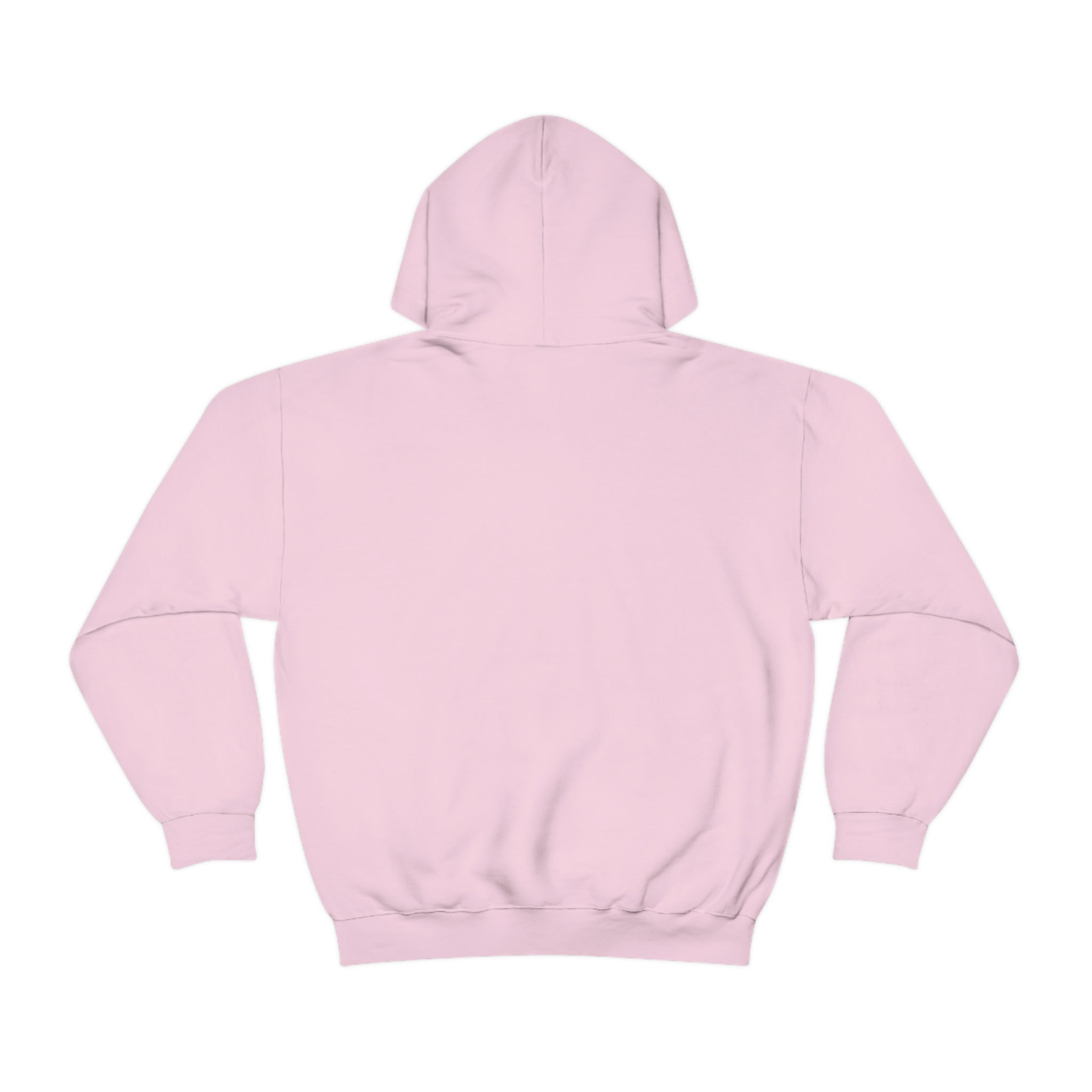 Ramen Hoodie - Noodle Loving Kitty Cats: A Foodie's Dream Asian-Inspired Pun Hoodie