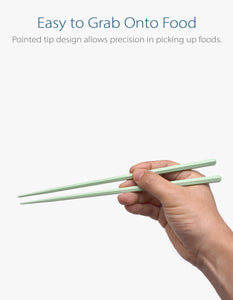 Chopsticks 5-Pair Set (Fiberglass)